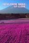 Poster for Japan from Above: Up Close
