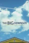 Poster for The Big Downsize