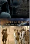Poster for The Biblical Plagues
