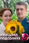 Poster for И расцвел подсолнух