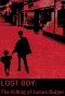 Poster for Lost Boy: The Killing of James Bulger