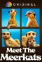 Poster for Meet the Meerkats