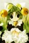 Poster for Di Gi Charat