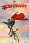 Poster for My Adventures with Superman