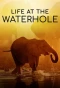 Poster for Life at the Waterhole