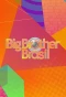 Poster for Big Brother Brasil