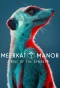Poster for Meerkat Manor: Rise of the Dynasty