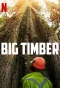 Poster for Big Timber