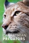 Poster for Carpathian Predators
