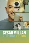 Poster for Cesar Millan: Better Human Better Dog