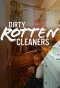 Poster for Dirty Rotten Cleaners