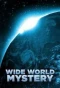 Poster for The Wide World of Mystery