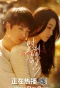 Poster for Timeless Love