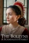 Poster for The Boleyns: A Scandalous Family