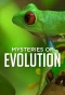Poster for Mysteries of Evolution