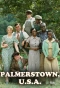 Poster for Palmerstown, U.S.A.