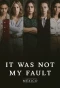 Poster for It Wasn't My Fault: Mexico