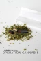 Poster for Operation Cannabis