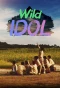 Poster for Extreme Debut: Wild Idol