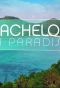 Poster for Bachelor in Paradise