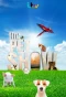Poster for The Pet Show
