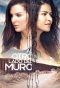 Poster for Al Otro Lado del Muro