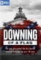 Poster for Downing of a Flag