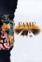 Poster for Fame L.A.