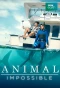 Poster for Animal Impossible