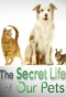 Poster for The Secret Life of Our Pets