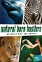 Poster for Natural Born Hustlers