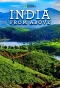 Poster for India from Above