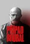Poster for Prípad Roubal
