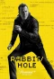 Poster for Rabbit Hole