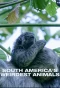 Poster for South Americas Weirdest Animals