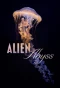 Poster for Alien Abyss