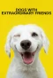 Poster for Dogs with Extraordinary Friends
