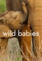 Poster for Wild Babies