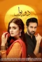 Poster for Do Bol