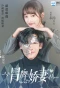 Poster for My Fake Wife
