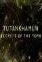 Poster for Tutankhamun: Secrets of the Tomb