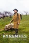 Poster for The Pyrenees with Michael Portillo