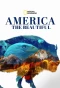 Poster for America the Beautiful