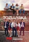 Poster for Tozluyaka