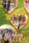 Poster for Wedding Valley