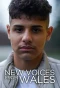 Poster for New Voices from Wales