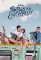 Poster for Papás por Encargo