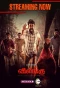 Poster for Vilangu