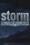 Poster for Storm Stories