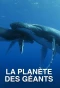 Poster for La planète des Géants